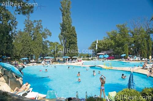 Dolphin Hotel 18
